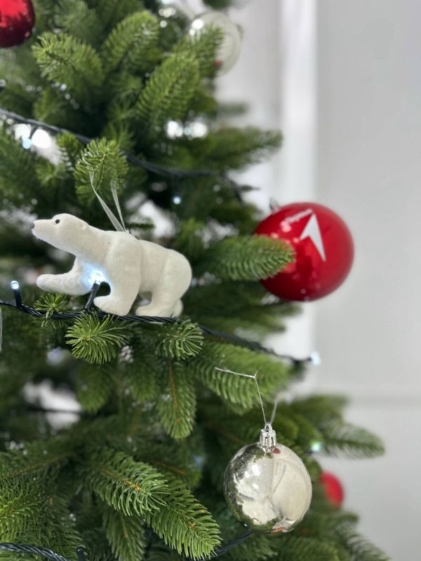 �������� ������: � ����� ������������ ��������� ������������� � ������ ���������� ����� ����� �������