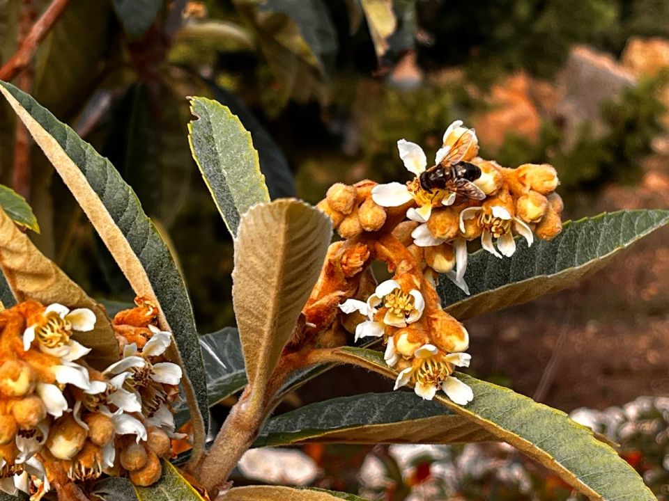 С добрым утром, друзья!. В Севастополе днем дождь С добрым утром, друзья!. В Севастополе днем дождь