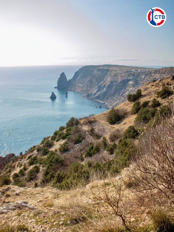 � ����������� ��������� �������� ���������-������������� ���������