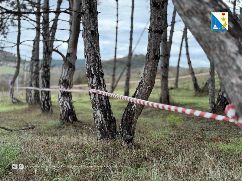 � ���� ����������� ���������� � ������������ ���� ������ ��������� ������� ������