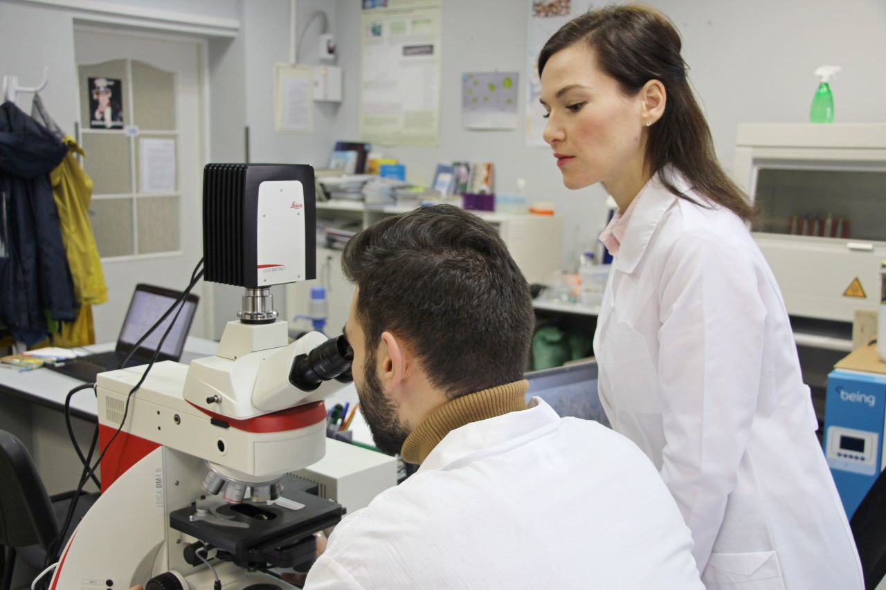 СевГУ откроет ординатуру по нейрохирургии в 2027 году