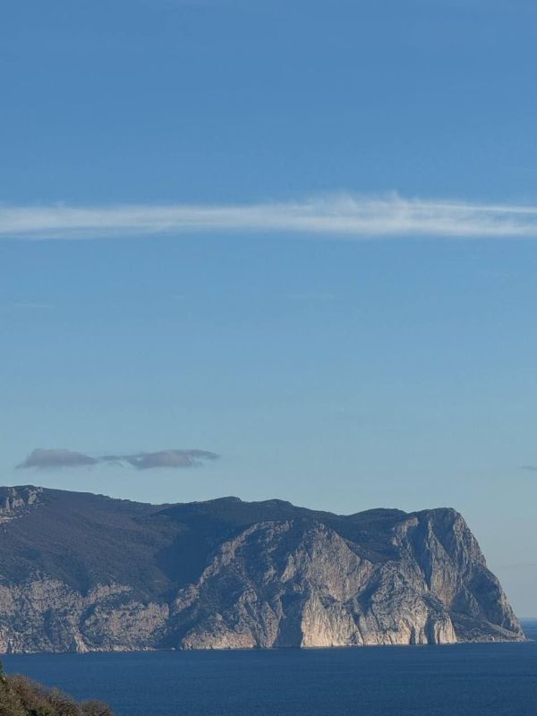 ������ �� 11 �������:. � ��������