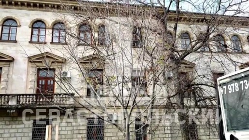 Улицу Гоголя в Севастополе украсят новые деревья