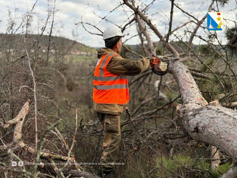 � ���� ����������� ���������� � ������������ ���� ������ ��������� ������� ������