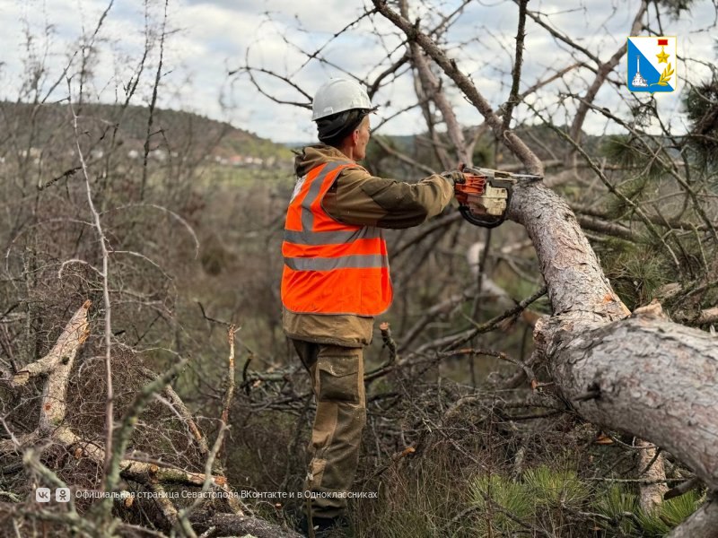 В селе Хмельницком приступили к оздоровлению леса вокруг памятника морской пехоте В селе Хмельницком приступили к оздоровлению леса вокруг памятника морской пехоте