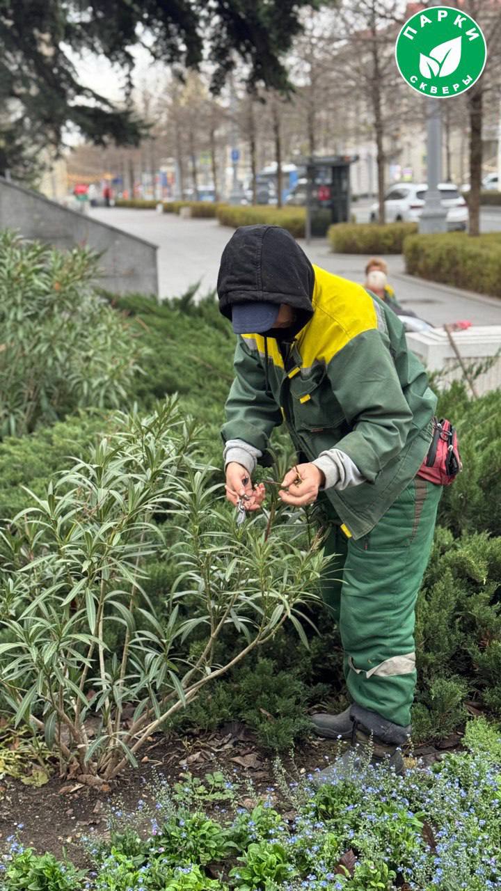 «Парки и скверы» продолжают ухаживать за зелеными зонами Севастополя «Парки и скверы» продолжают ухаживать за зелеными зонами Севастополя