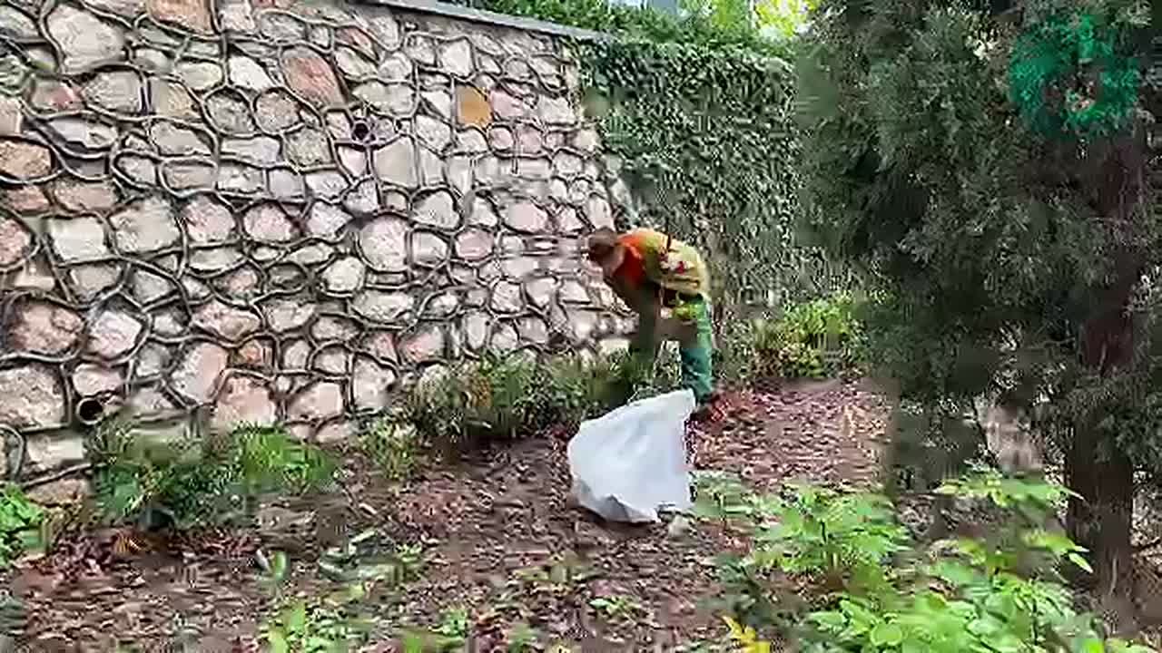 «Парки и скверы» продолжают ухаживать за зелеными зонами Севастополя