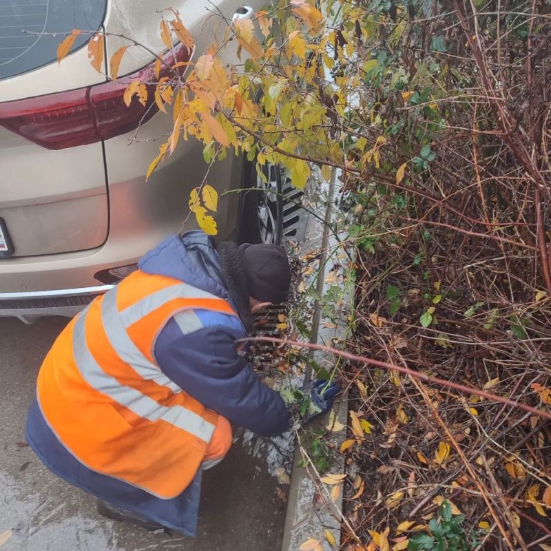 ���������: ������� �������. ��������� ������ ������ � ������� �������� ������� � �������������� �� ���� ������� ������ ������ �� ��. ����������, ��. �������� ���������, ��. ������ �����������, ��. ����������