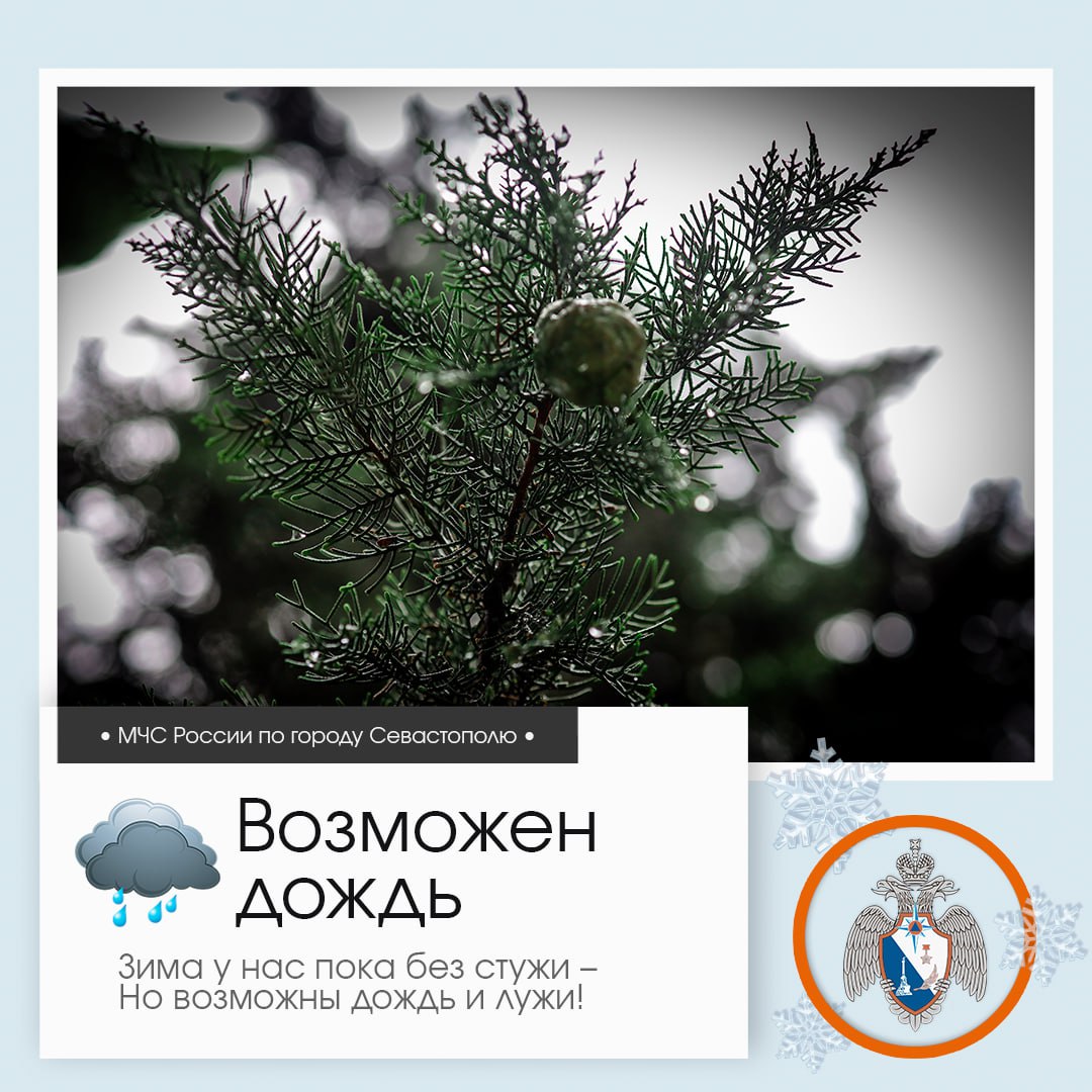 Доброе утро, Севастополь!. По данным гидрометцентра, 12 декабря в Севастополе будет облачно