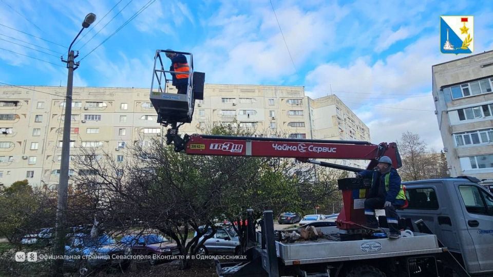 �� ������ ����������� ��������� ������� ���������