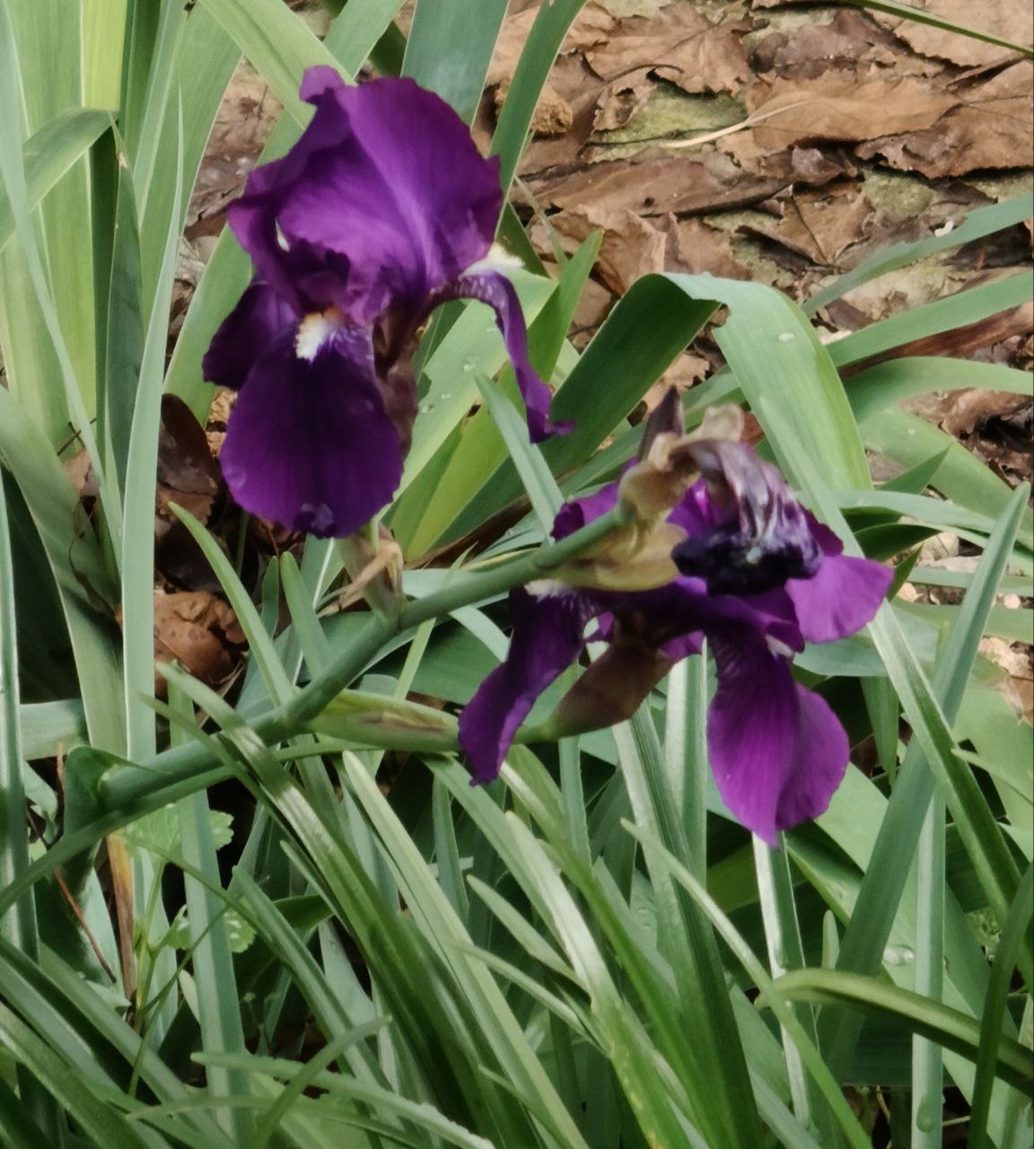 С добрым субботним утром!. Днем небольшой дождь