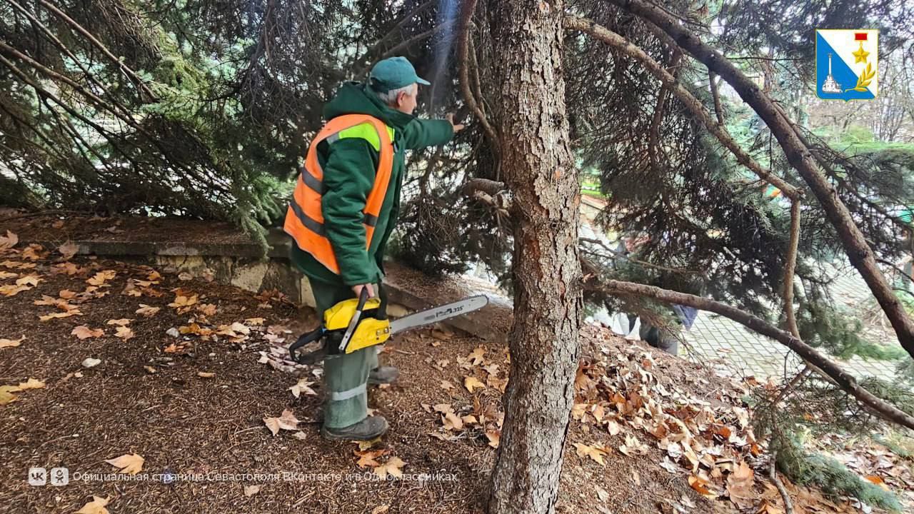 Специалисты«Парков и скверов» провели санитарную обрезку голубых елей на центральном холме, у памятника Ленину