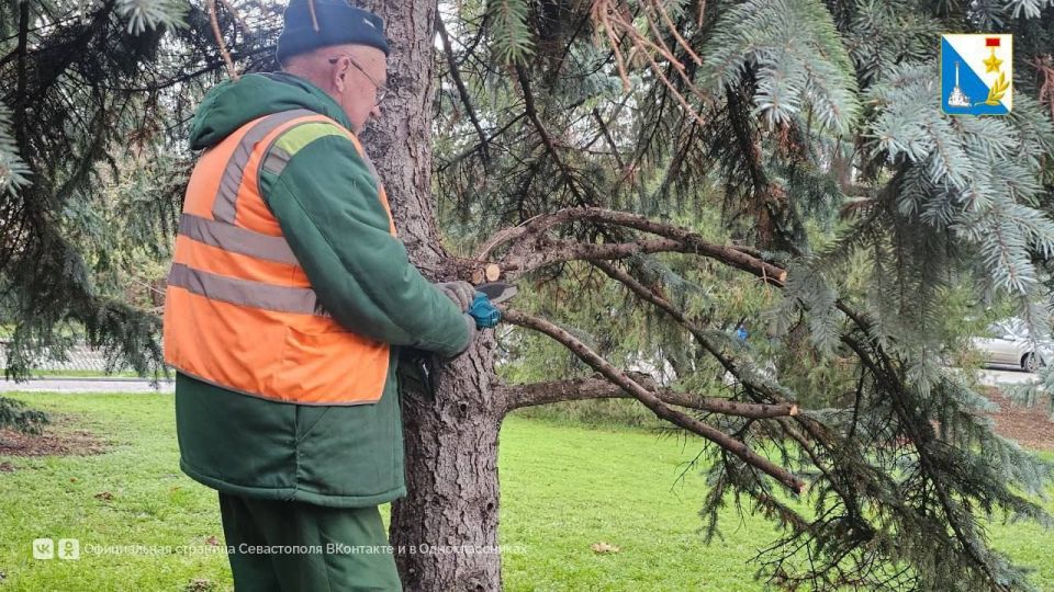 ������������������ � ������� ������� ���������� ������� ������� ���� �� ����������� �����, � ��������� ������