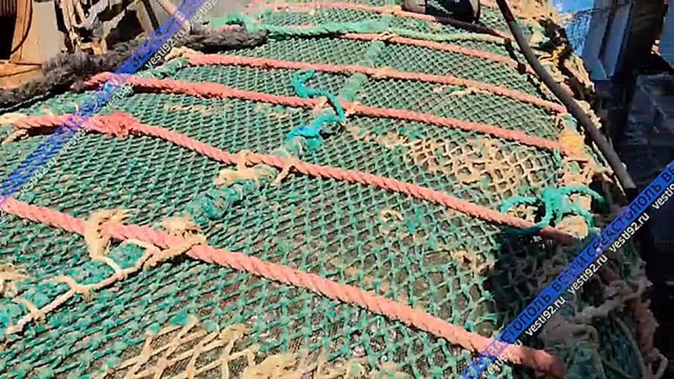 � ����������� ��������� 230 ���� ������������ �����