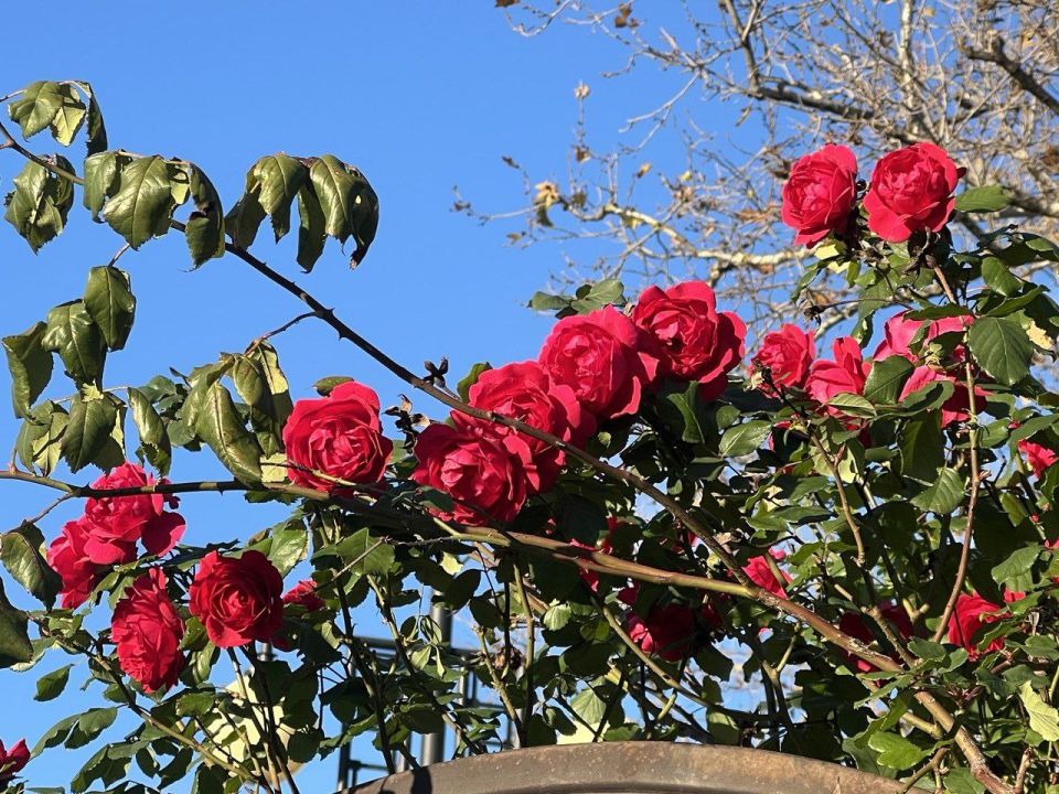 � ������ �����, ������!. � ����������� ���������� ����������