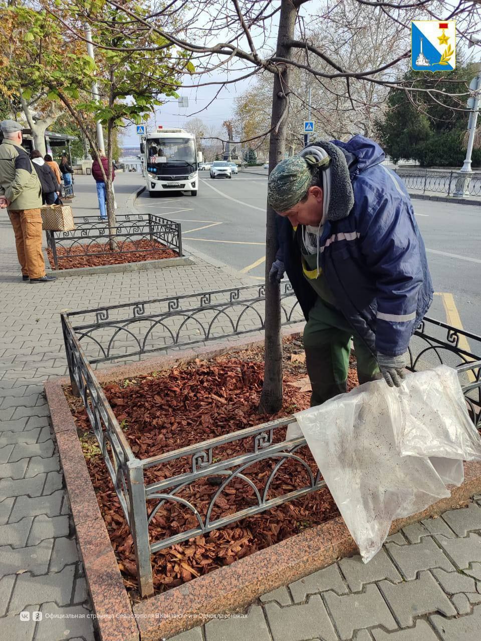 В Севастополе ухаживают за деревьями перед холодами В Севастополе ухаживают за деревьями перед холодами