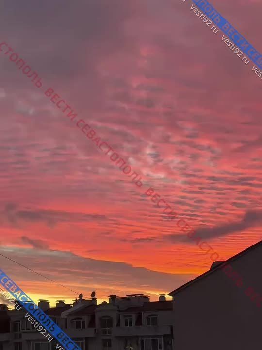 �����, ������� ��������� ������ ����������� �������