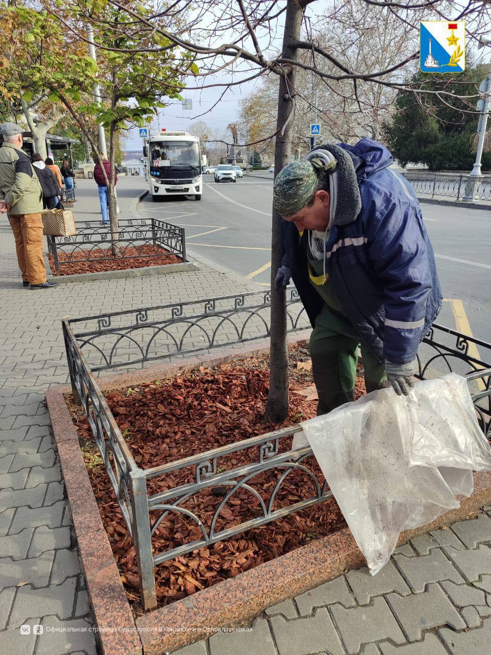 Сотрудники «Парков и скверов» ухаживают за деревьями перед холодами Сотрудники «Парков и скверов» ухаживают за деревьями перед холодами