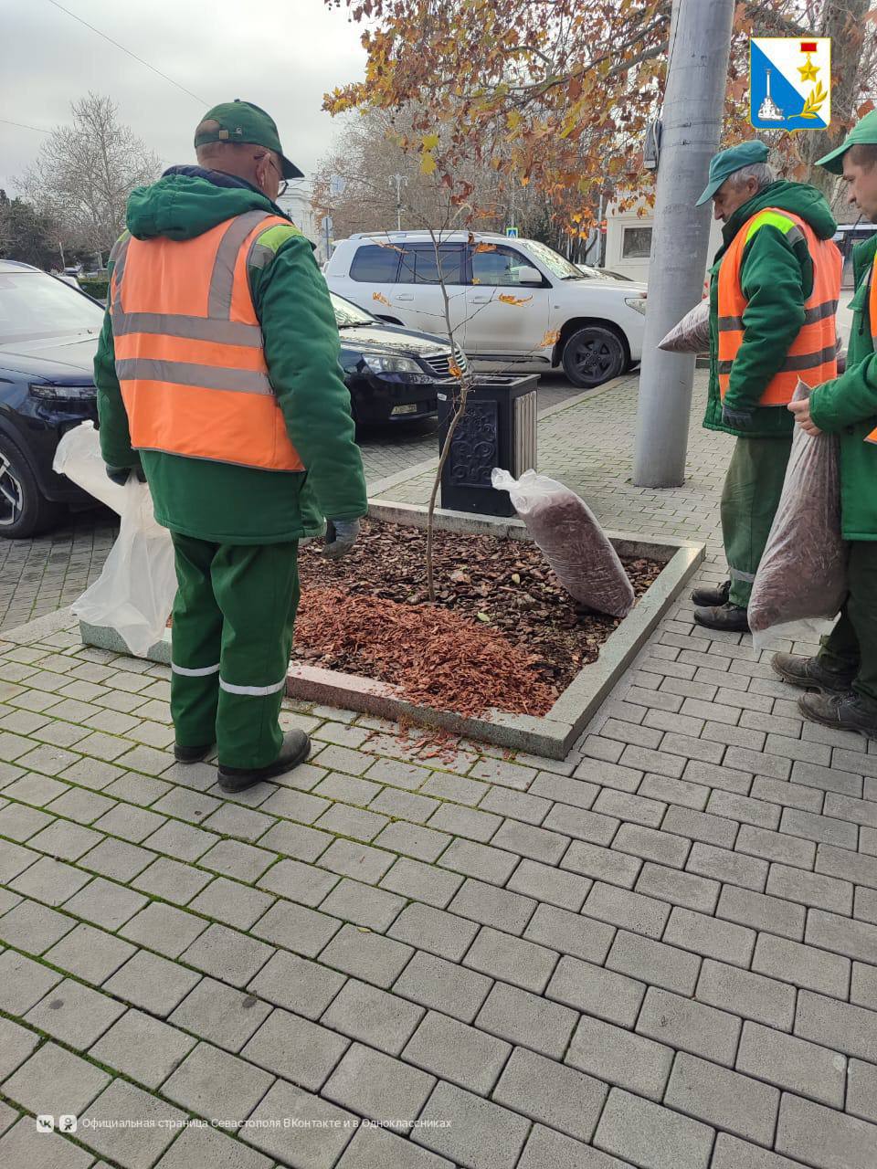 Ухаживаем за деревьями перед холодами Ухаживаем за деревьями перед холодами