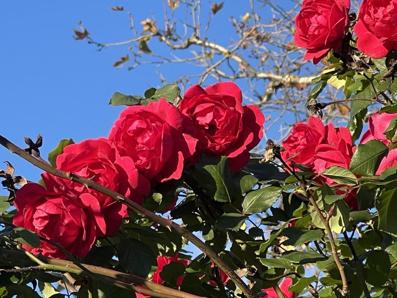 С добрым утром, друзья!. В Севастополе переменная облачность