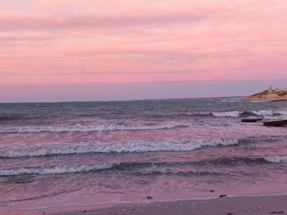 ������� ����� �� ������. ��������� �� ���-������������ | ������ ��� � ������������� MAX