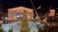 В Новом Херсонесе устанавливают елку высотой 14 метров
