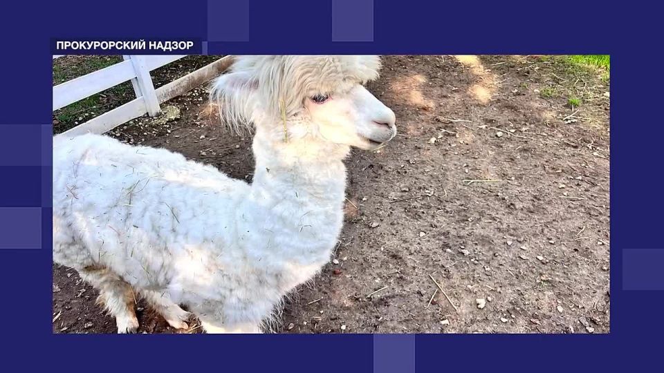 ���������� ������ �������� ��������� ������ ������������ ��������� "������������ ������" �� ���������� "����������� ����������� �����������"