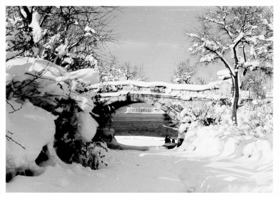 Приморский бульвар зимой, 1950-1980-е годы