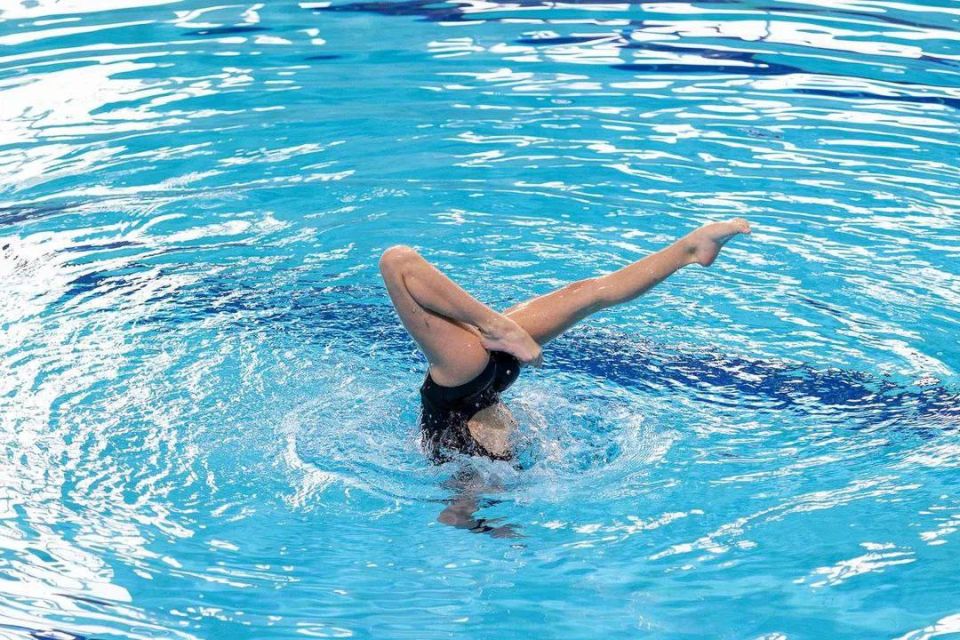 � ����������� ������ ���������� ������������ �� ����������� �������� ���������������� �����