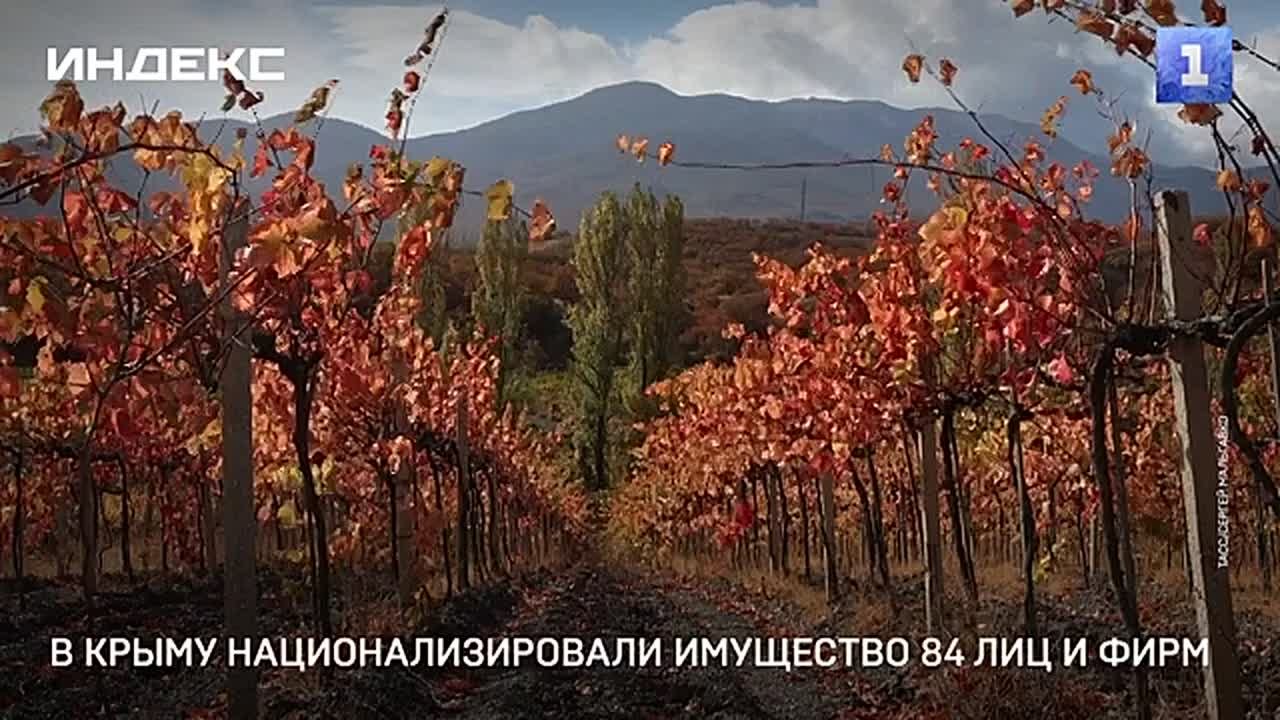 В Крыму национализировали имущество 84 физических и юридических лиц, которые сотрудничают с Киевом и направляют деньги на поддержку украинских нацистов