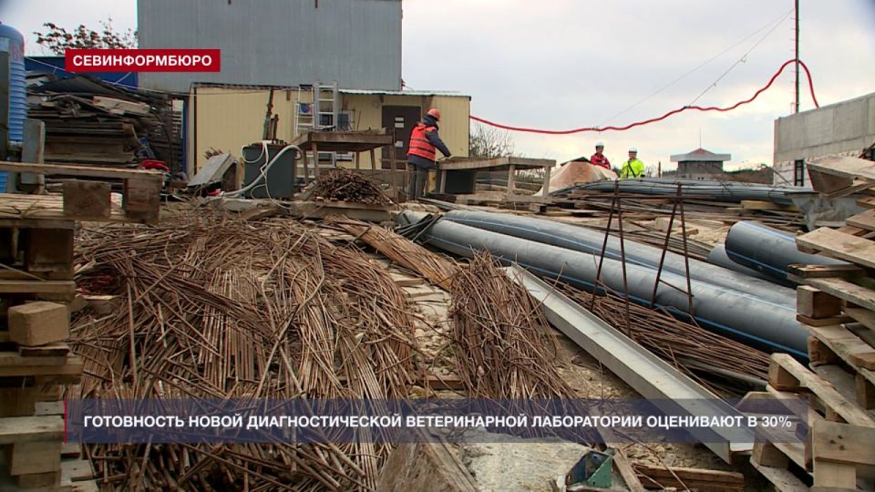 ����� ��������������� �������������� � ����������� ������ �� �����