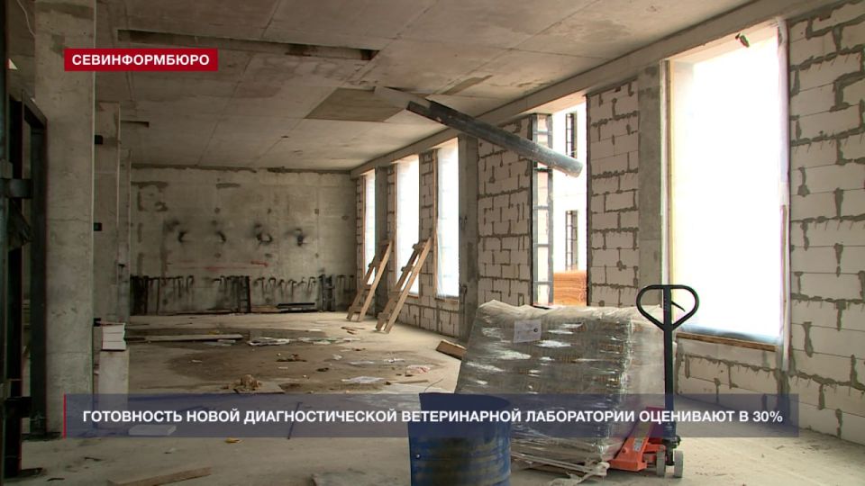 ����� ��������������� �������������� � ����������� ������ �� �����