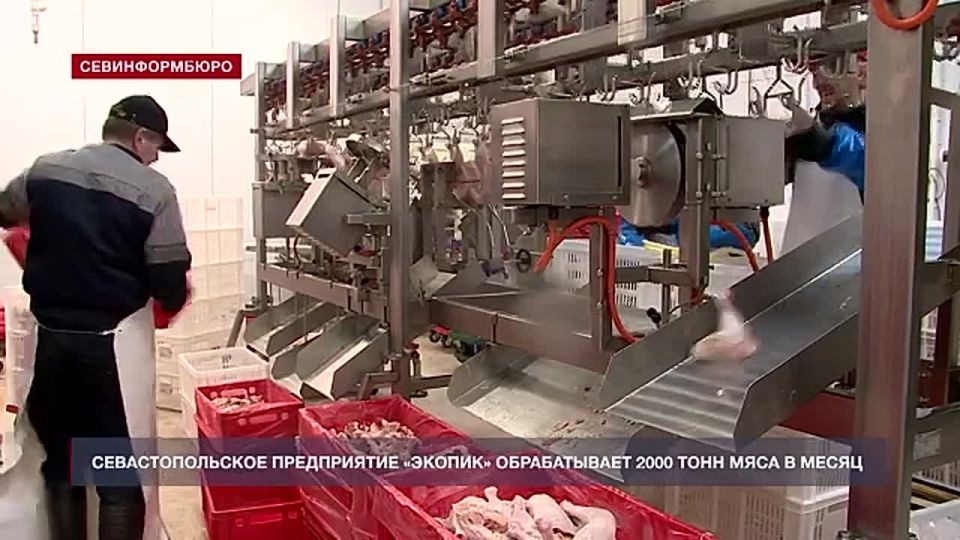 �� 2000 ���� ���� � ����� �������������� ��������������� �������� �������