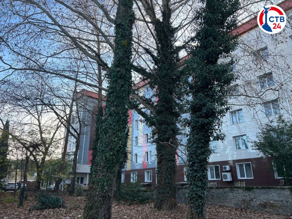 ������ ���� ���������� ���������������� �������������������� ���������� ��������� �� 98%