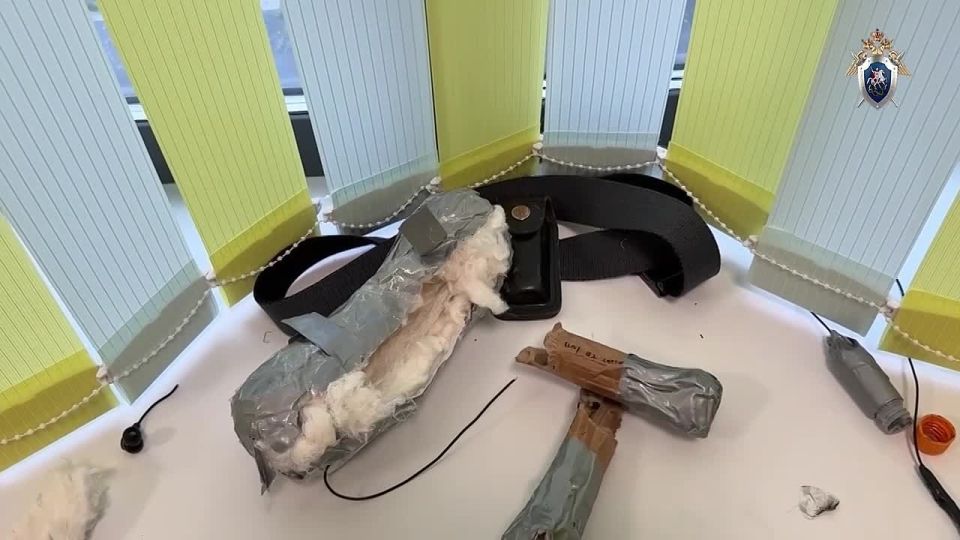 СК РФ опубликовал кадры работы следователей и криминалистов в подмосковной школе, где сегодня утром подросток убил ножом ученика и ранил охраника