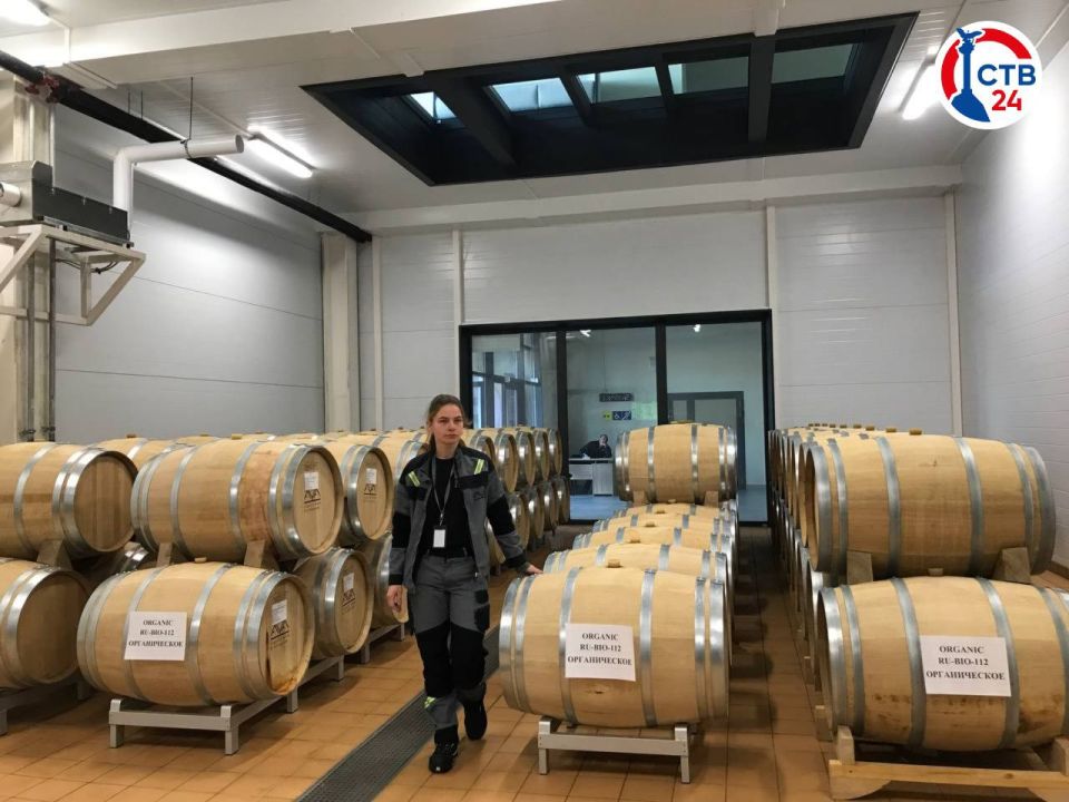 � ����������� ������������ ������� ������������ ����������������� �������