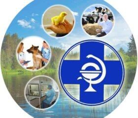 ���������� ����������� ������ ����������� ����������� ���������� �������������������� �������� � �����, �� �������� �� ����� �������������, � ���������� ����������� �� ��������� ������ ������������� ������������...