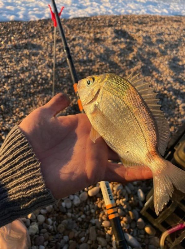 �������, ��������� � �������: ����� ���� ������ ����� � �����������