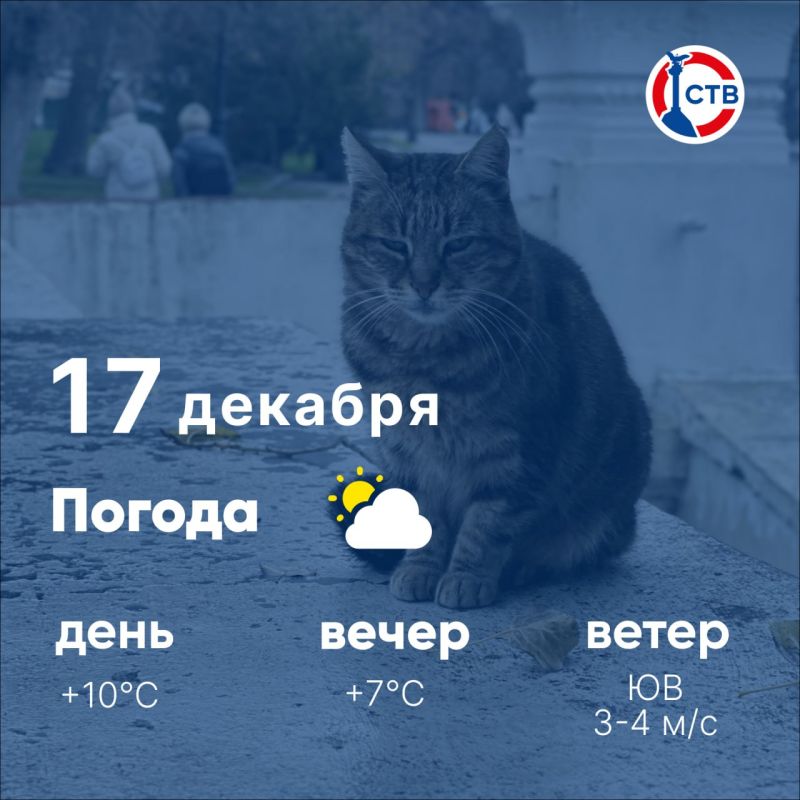 ������ ����, �������������! � ������ ����������� ������ ������ ������