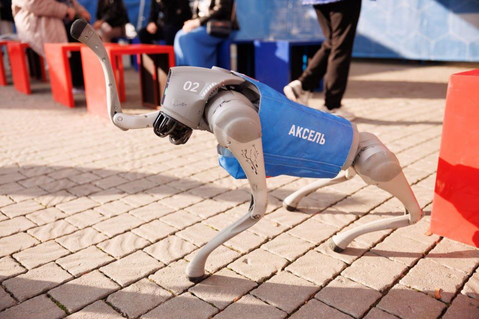 � ����������� ������ �������������� �������� ��������� ���������� �������