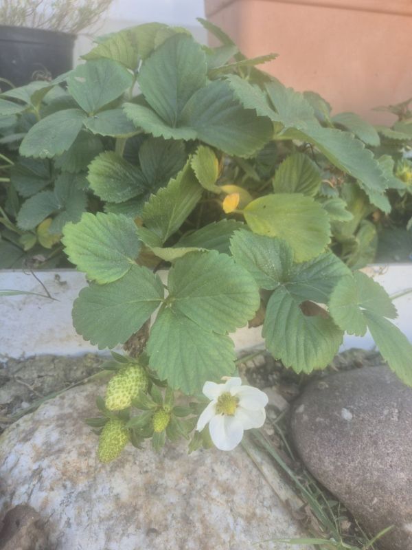 � ������ �����, ������!. � ����������� ��� �������