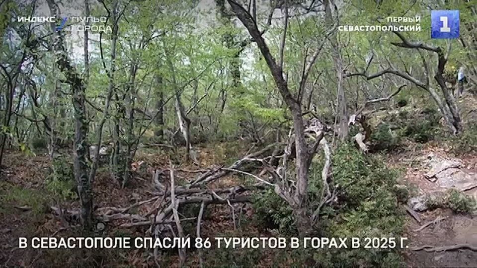 � ����������� � ������ ���� ������ 86 �������� � �����-������ ���������