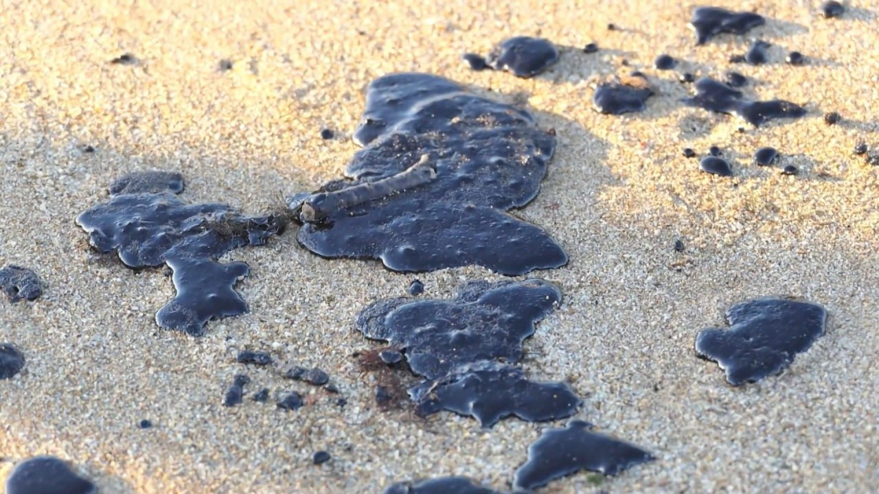 911 тонн мазута утилизировали в Крыму после аварии в Керченском проливе