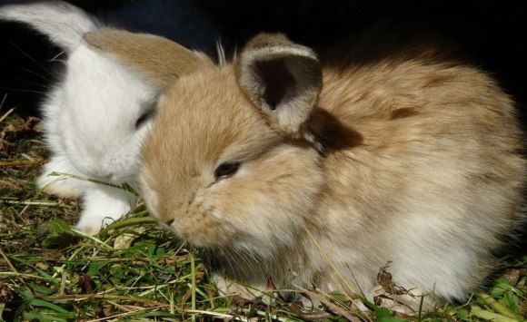 ������������ ��������� 1,7 ��� ������ ������ �� ������������� � �������������