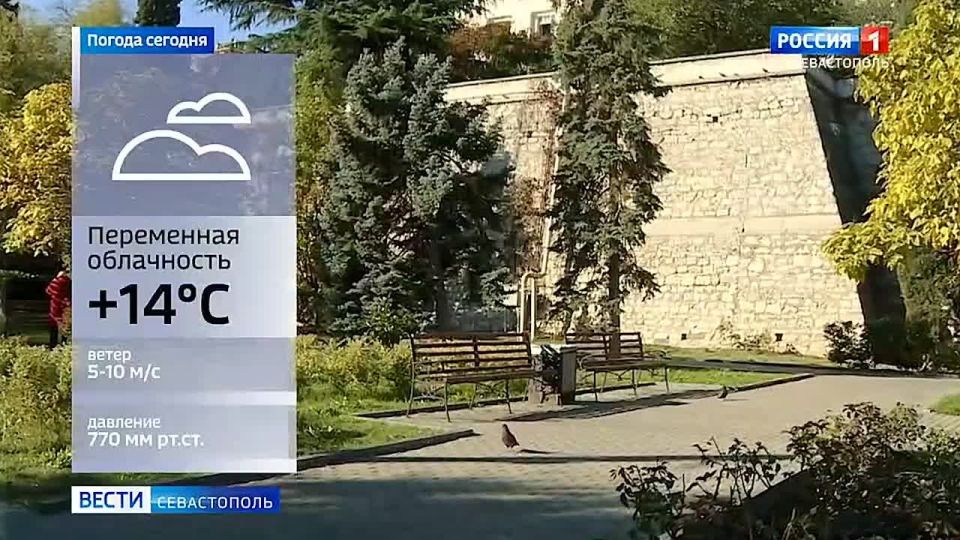 �������� ���� ������� ������� � 7:35, 8:35, 9:30, 11:30 � 21:10!