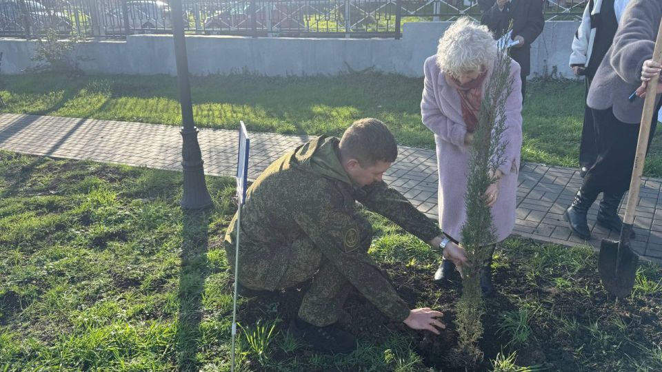 �� ����� ����� �41 ������� ������ ������