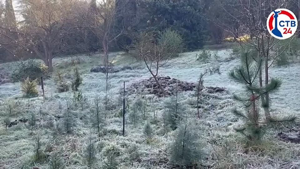 � ����������� ���������� ������� ������� ��� �������������� ���� ������� � ���������, ������� �������� ������� ����� ������, ���������� ���������� �������� ����� ���������� ��������� ����������