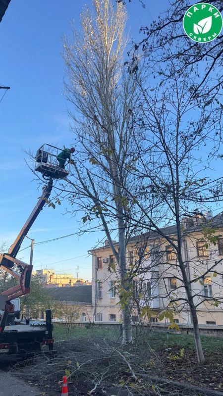 �� ����� ������������ �������� ���������� ������� ������ ����������