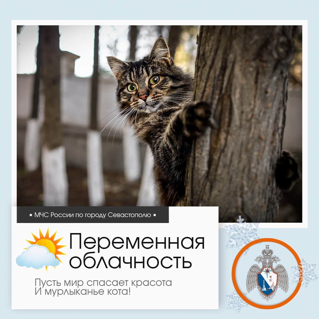 Доброе утро, Севастополь!. По данным гидрометцентра, 18 декабря в Севастополе будет переменная облачность