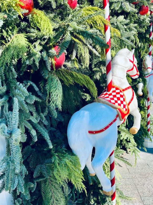 �� ������ ���� 12 ����!